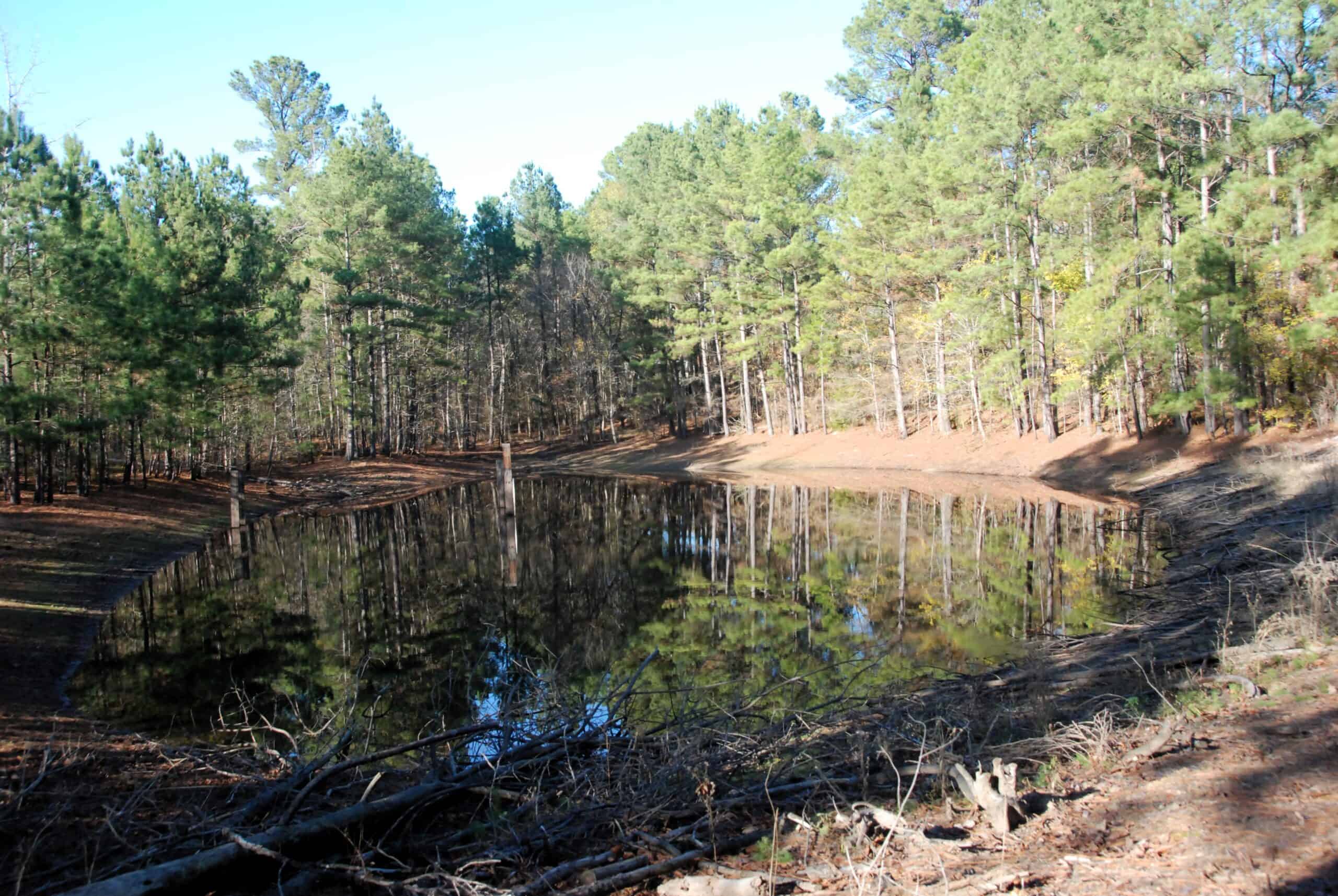19.984 Acres East Texas Hunting Land near Hawkins TX Wood County