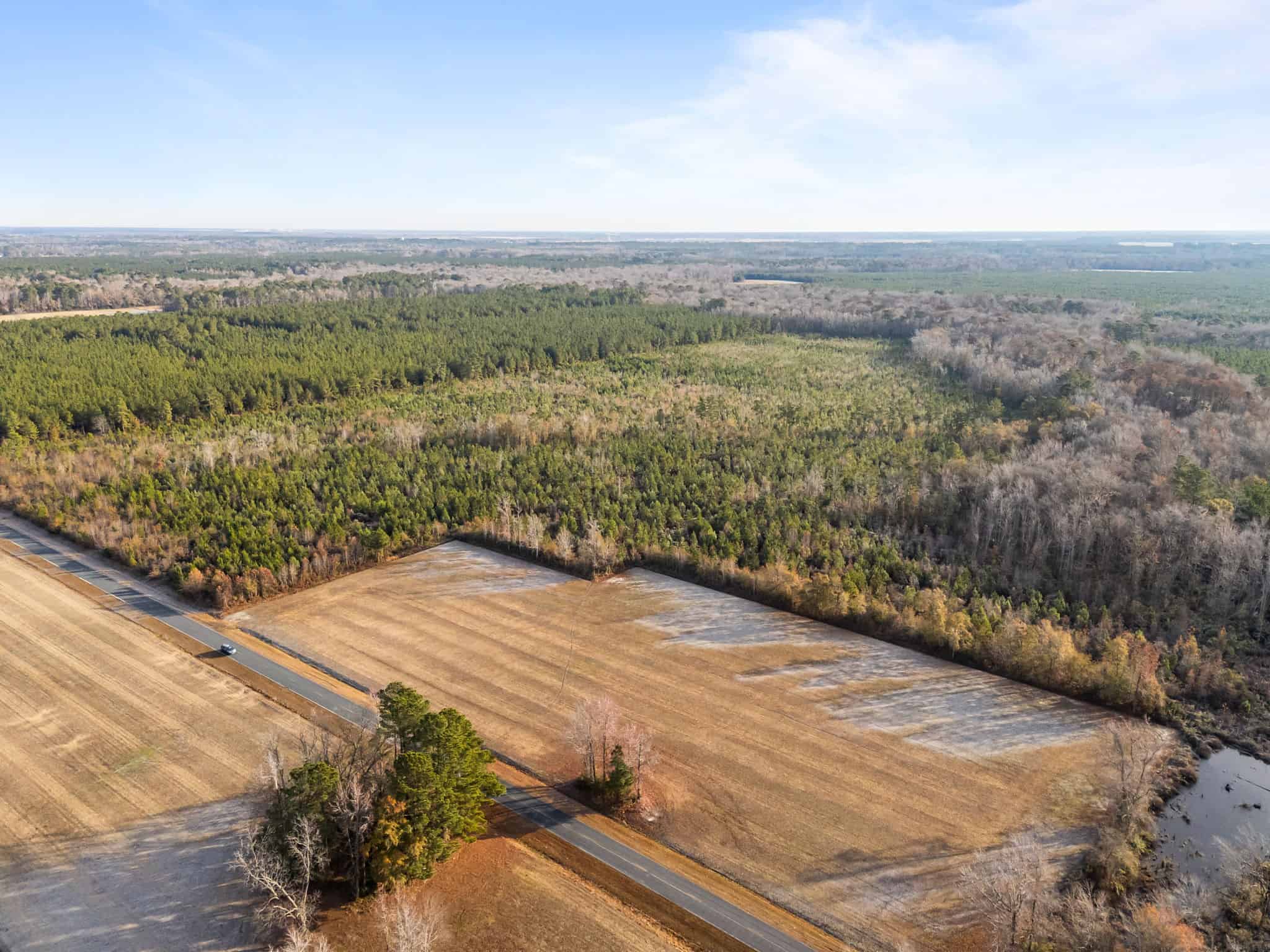 52-Acre Timber and Hunting Tract Near New Bern, NC