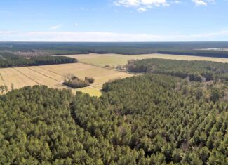 93-Acre Farm & Timber and Hunting Tract Near Washington, NC