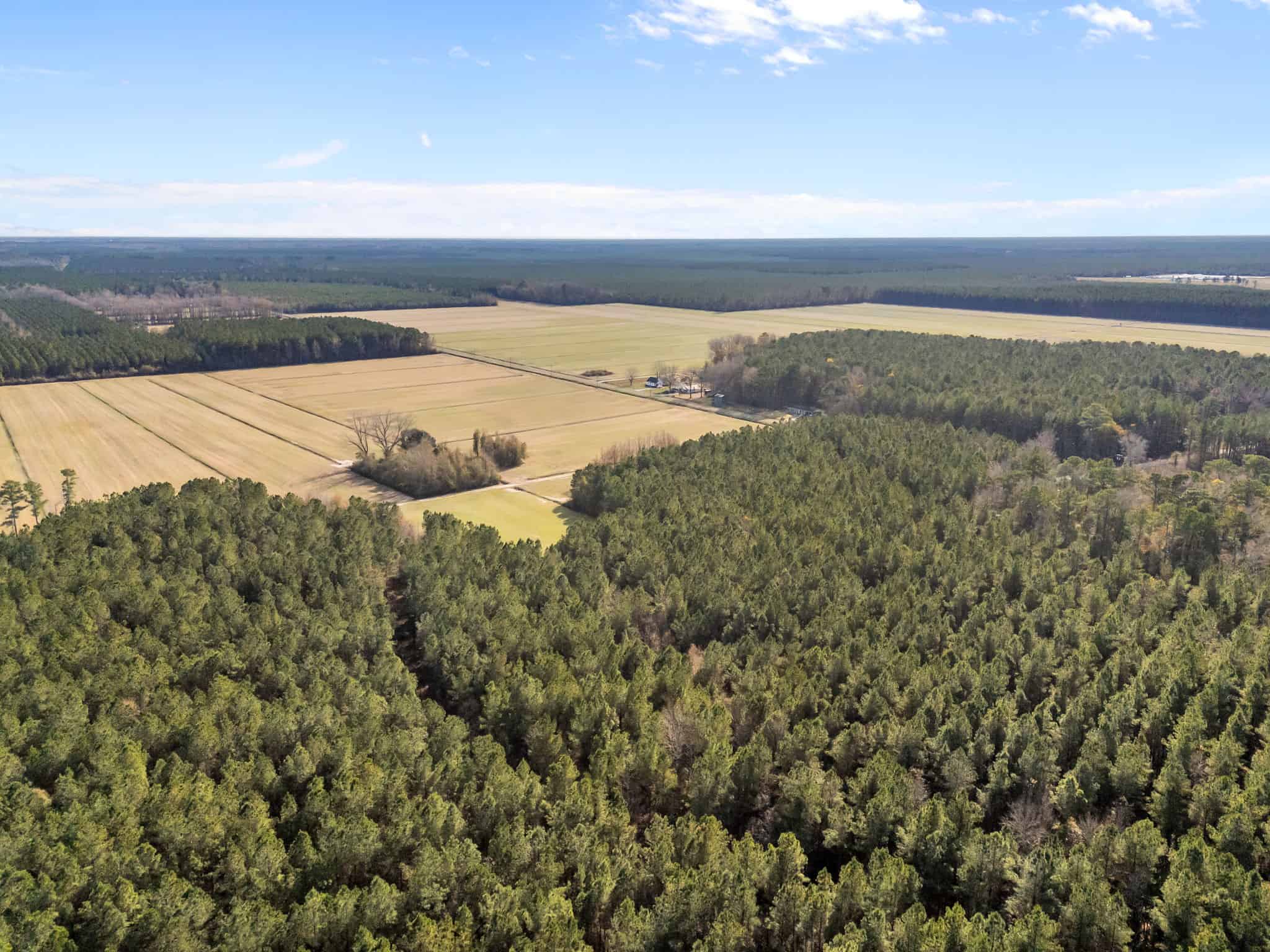 93-Acre Farm & Timber and Hunting Tract Near Washington, NC