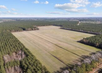 125 Acres of Farmland & Timberland on Tuten Road for Sale