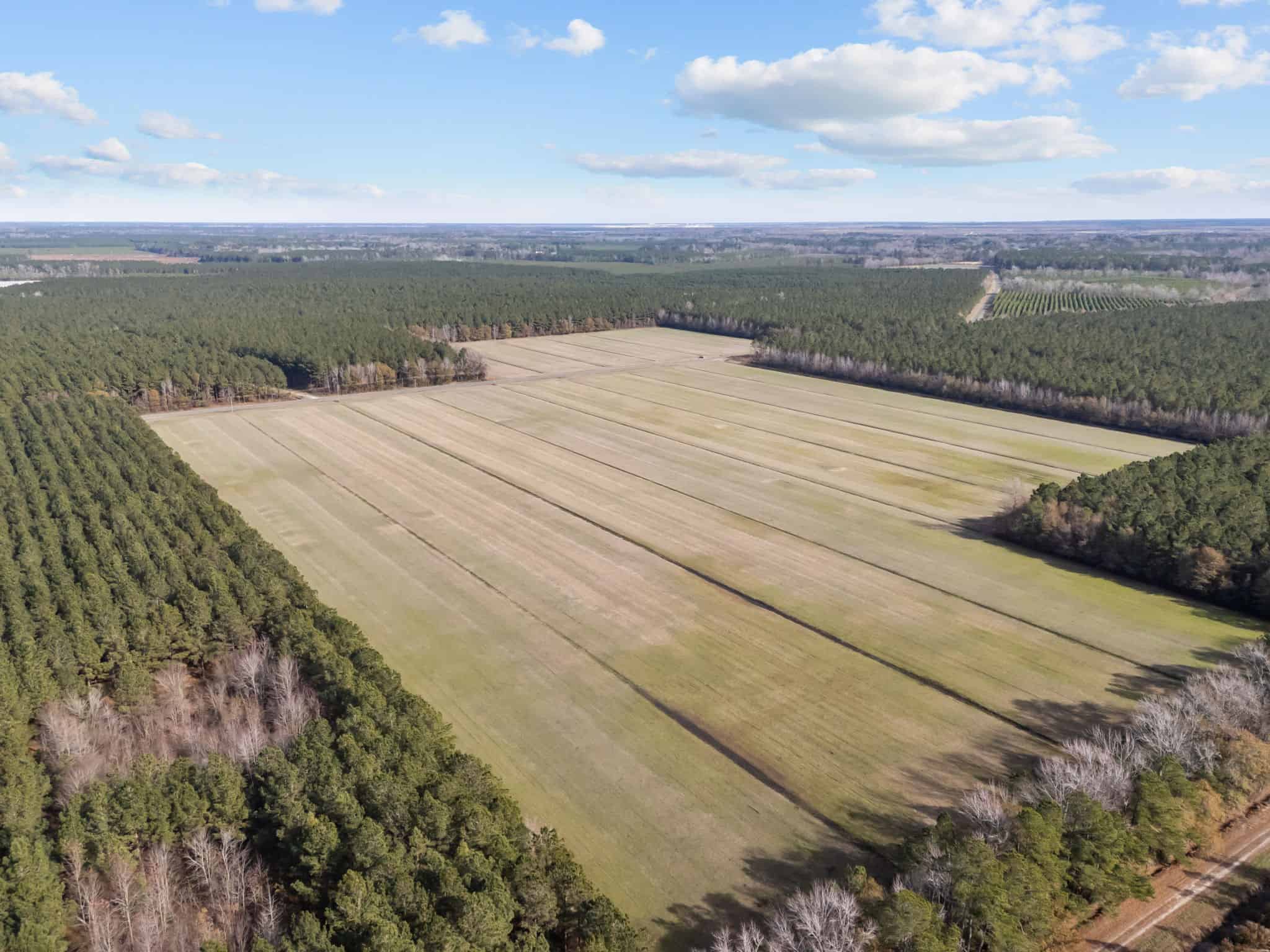 125 Acres of Farmland & Timberland on Tuten Road for Sale