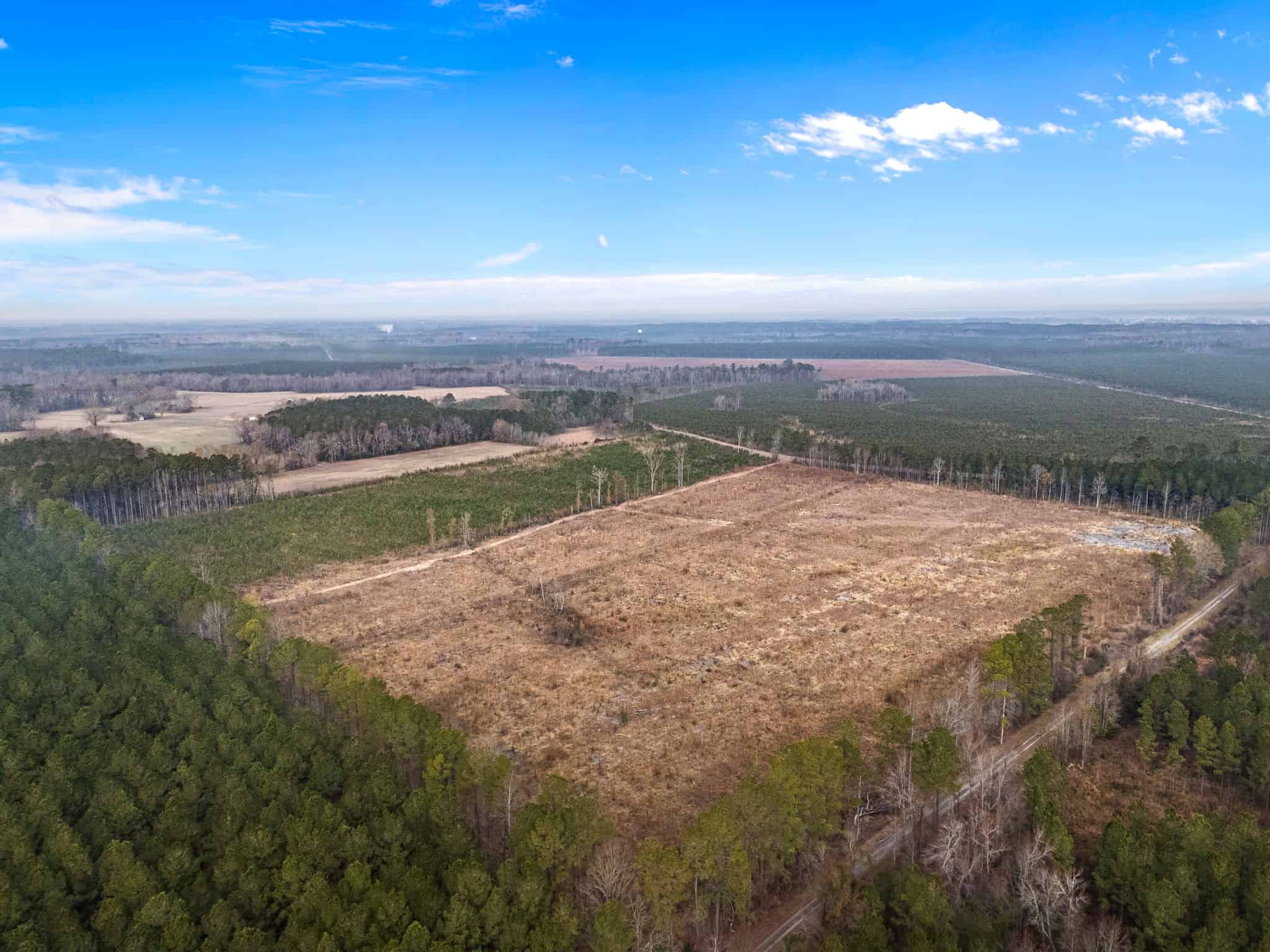 51-Acre Timber & Hunting Tract on Blounts Creek, NC