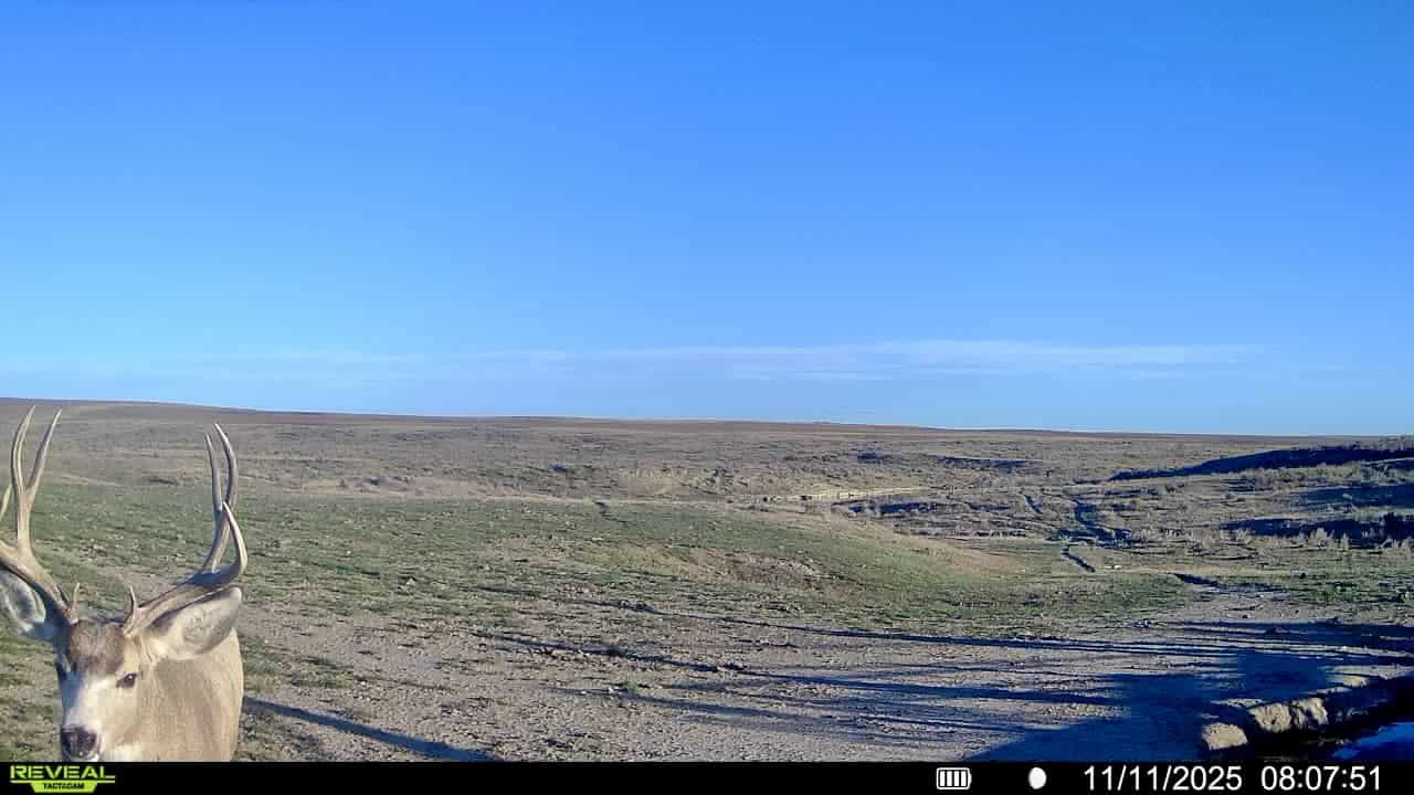 S Bar Ranch – 19,816± Acres North of Custer, Yellowstone County, Montana