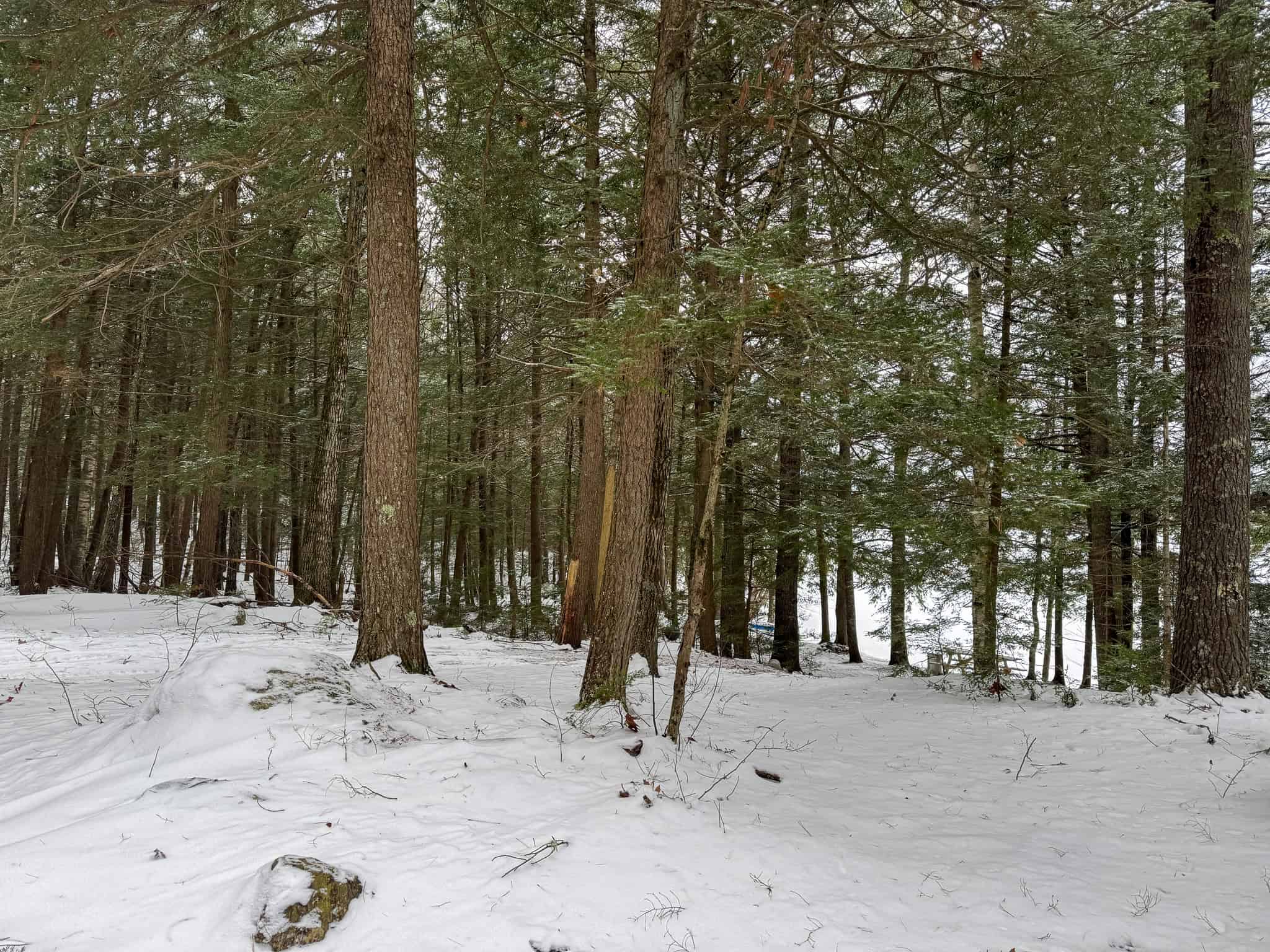 33.4 Acres with Private Pond – Pittston, ME