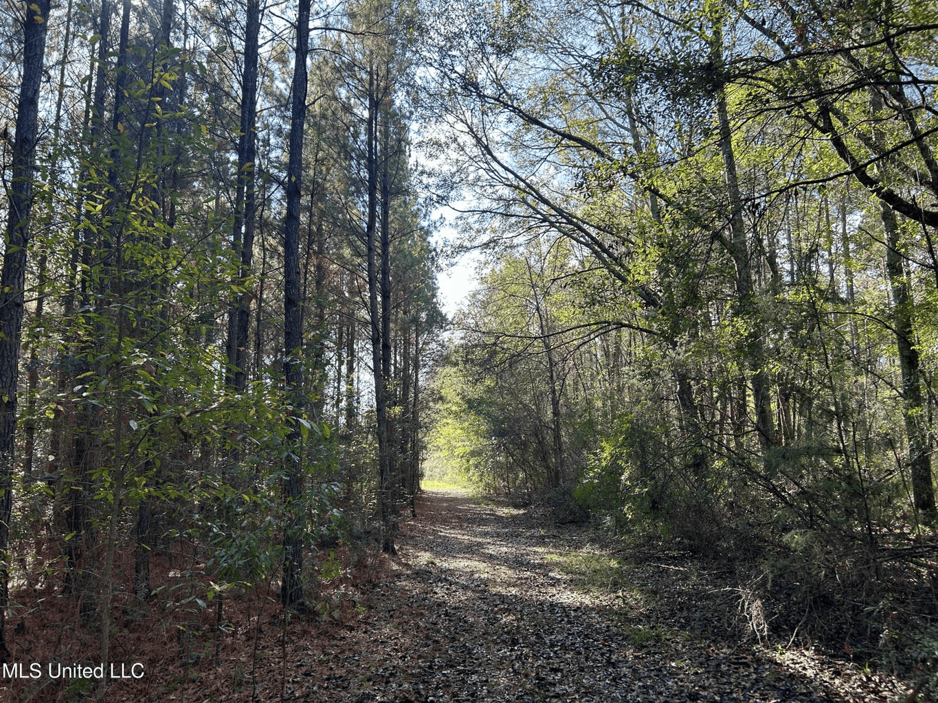 39.7 Acres in Brookhaven MS