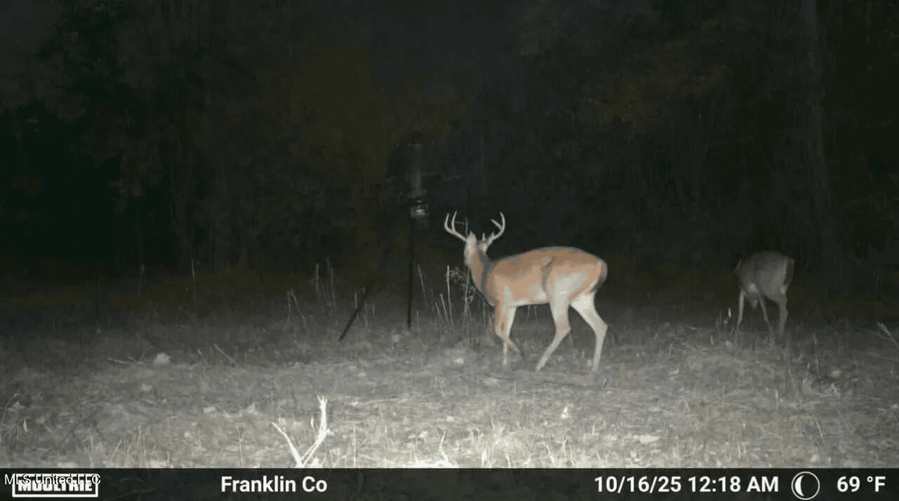 Roxie Mississippi – 94 Acre Recreational Retreat