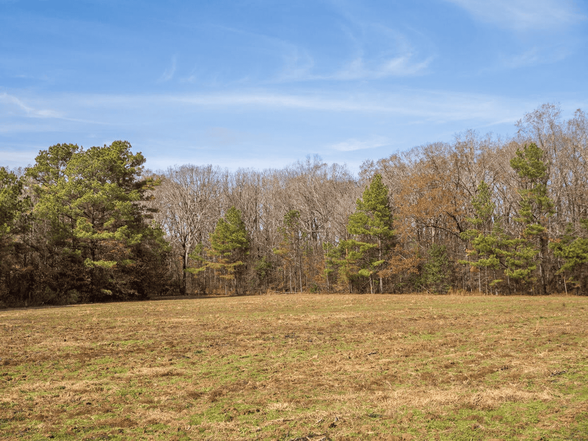 Timberland Farmland For Sale Clay County MS