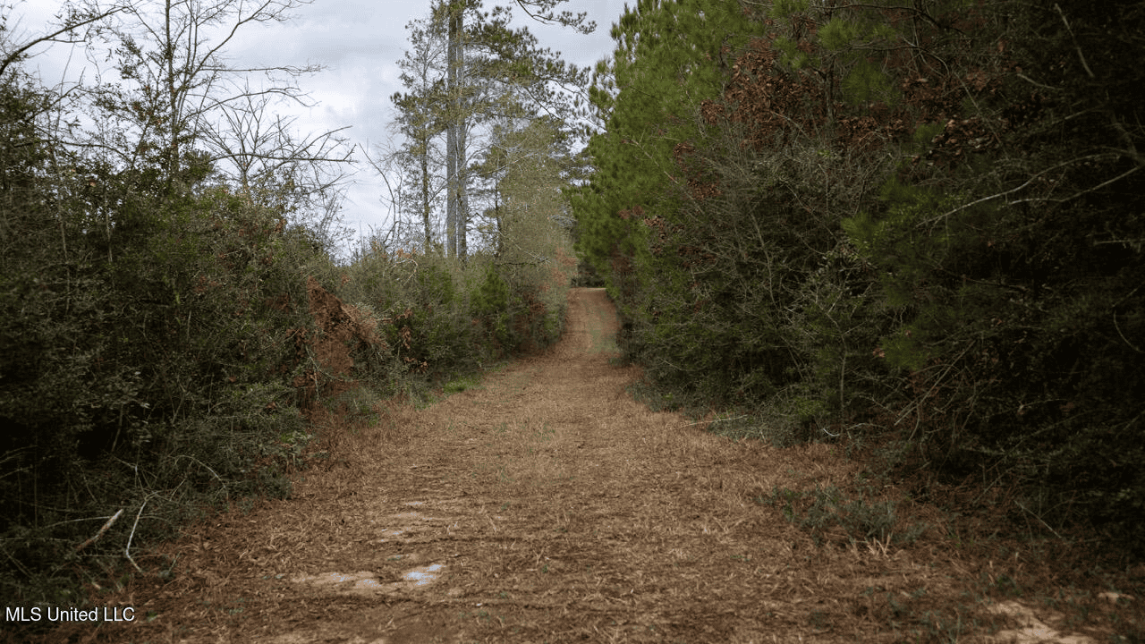 283± Acres for Sale Amite County, Mississippi