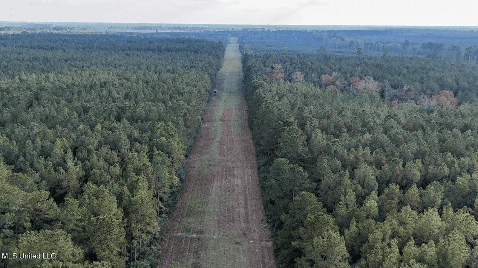 Prime Hunting Property in St Helena Parish, LA