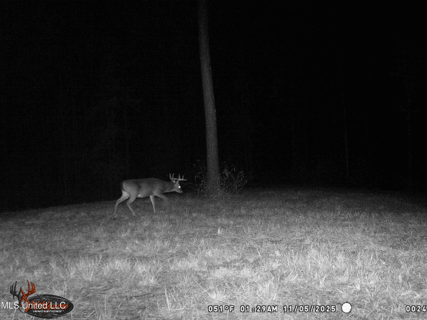 Wilkinson County 60-Acre Turn-Key Solar Hunting Camp