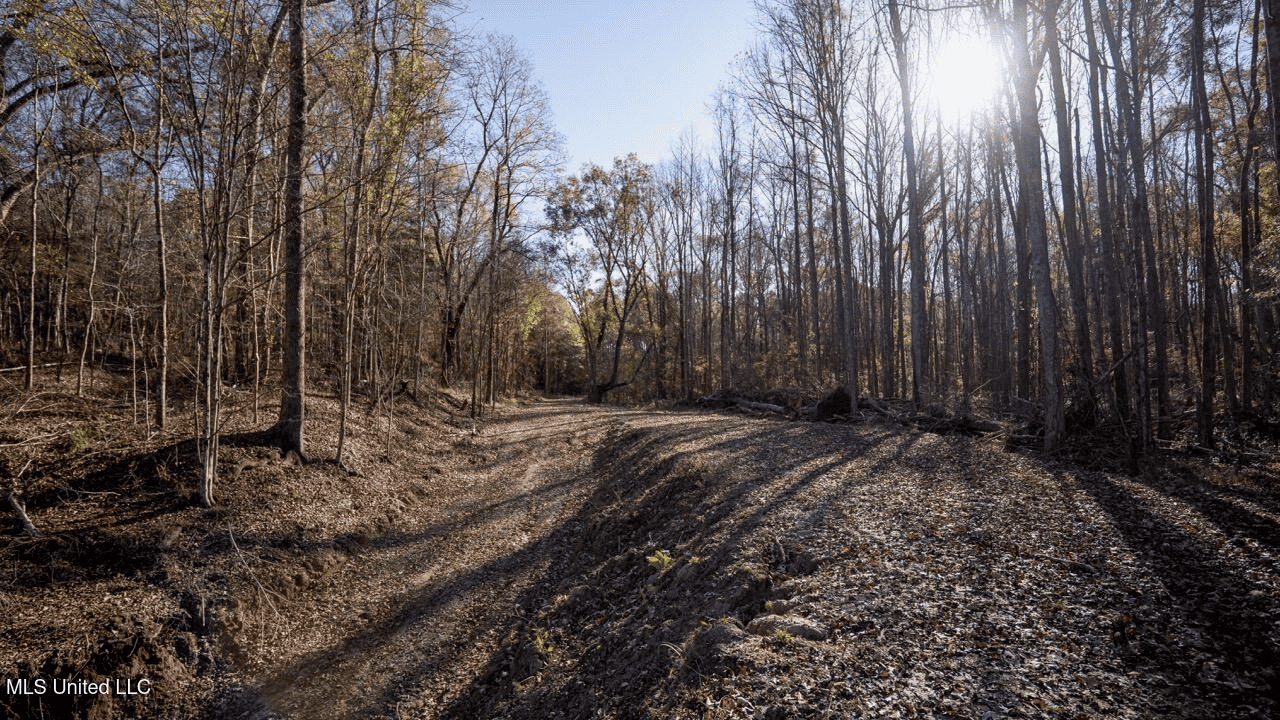 84.5 Acres in Woodville, MS on Hwy 24 with Creeks