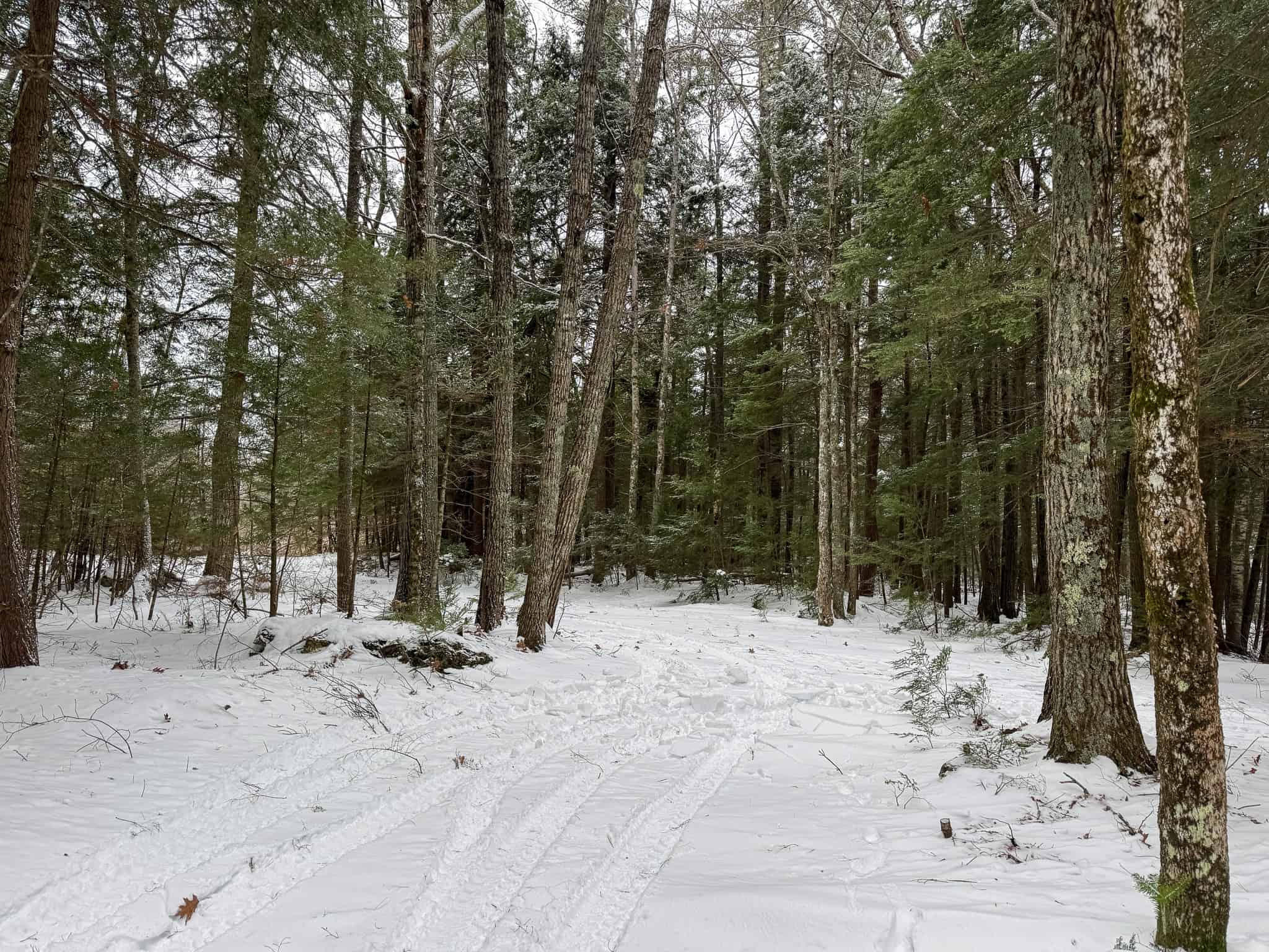 33.4 Acres with Private Pond – Pittston, ME