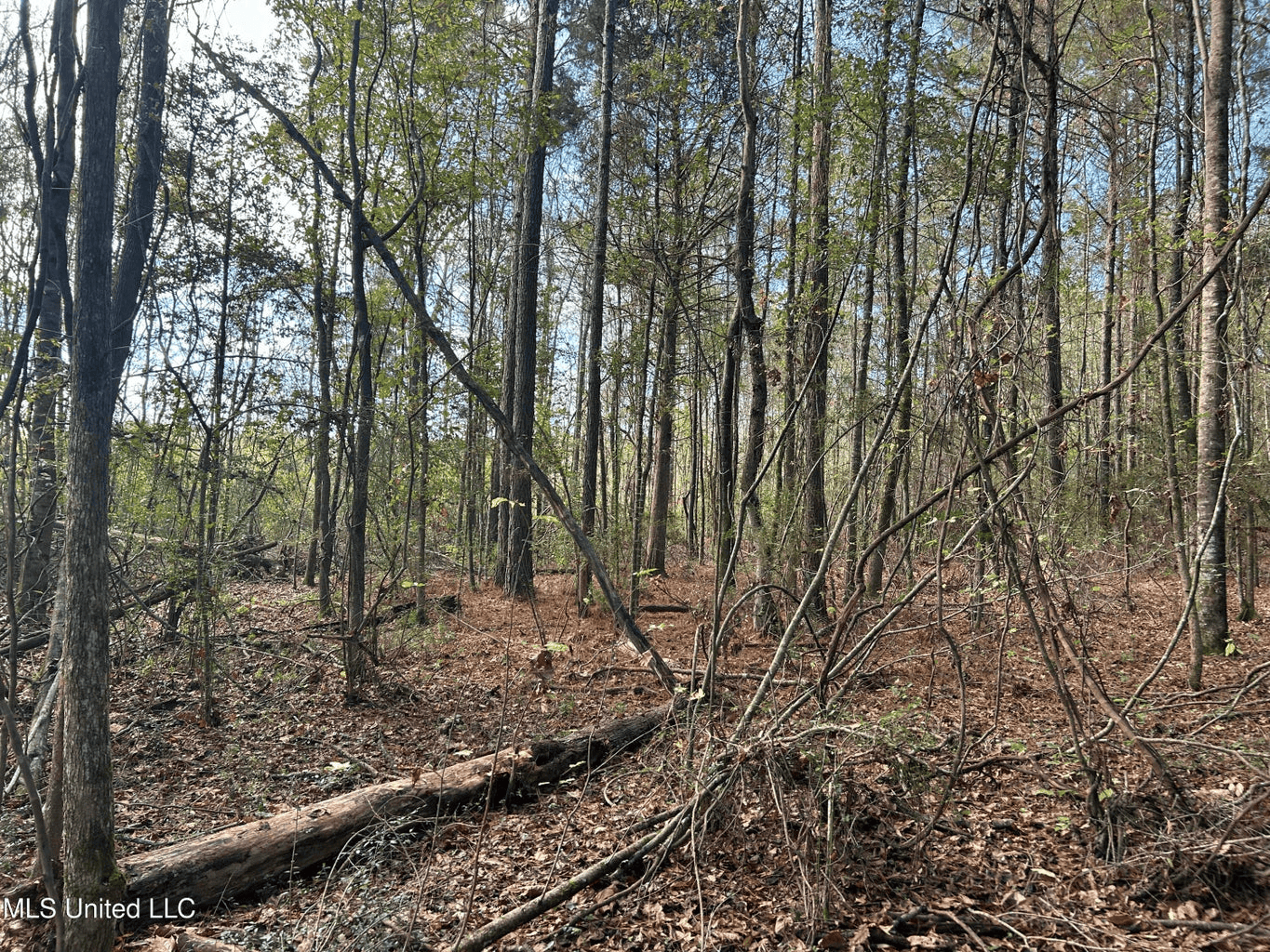 39.7 Acres in Brookhaven MS