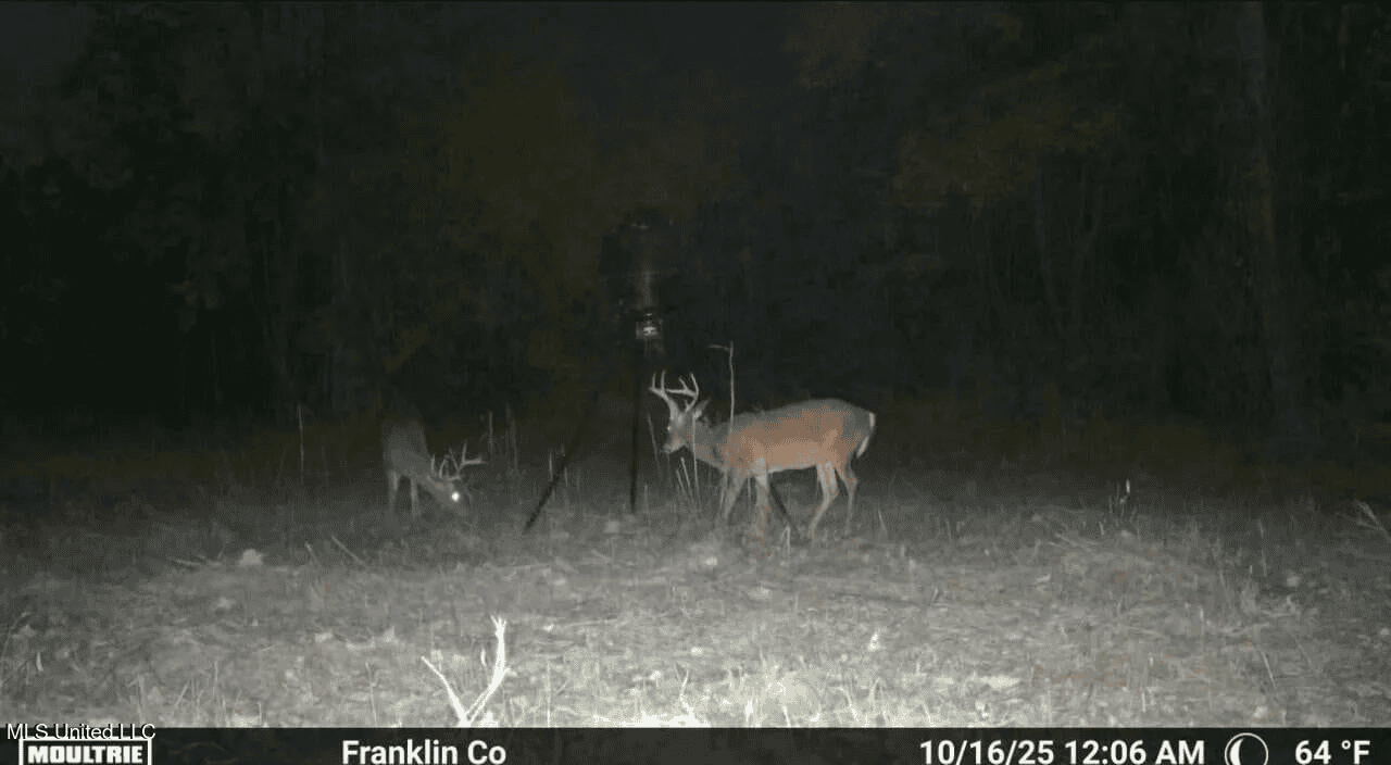 Roxie Mississippi – 94 Acre Recreational Retreat