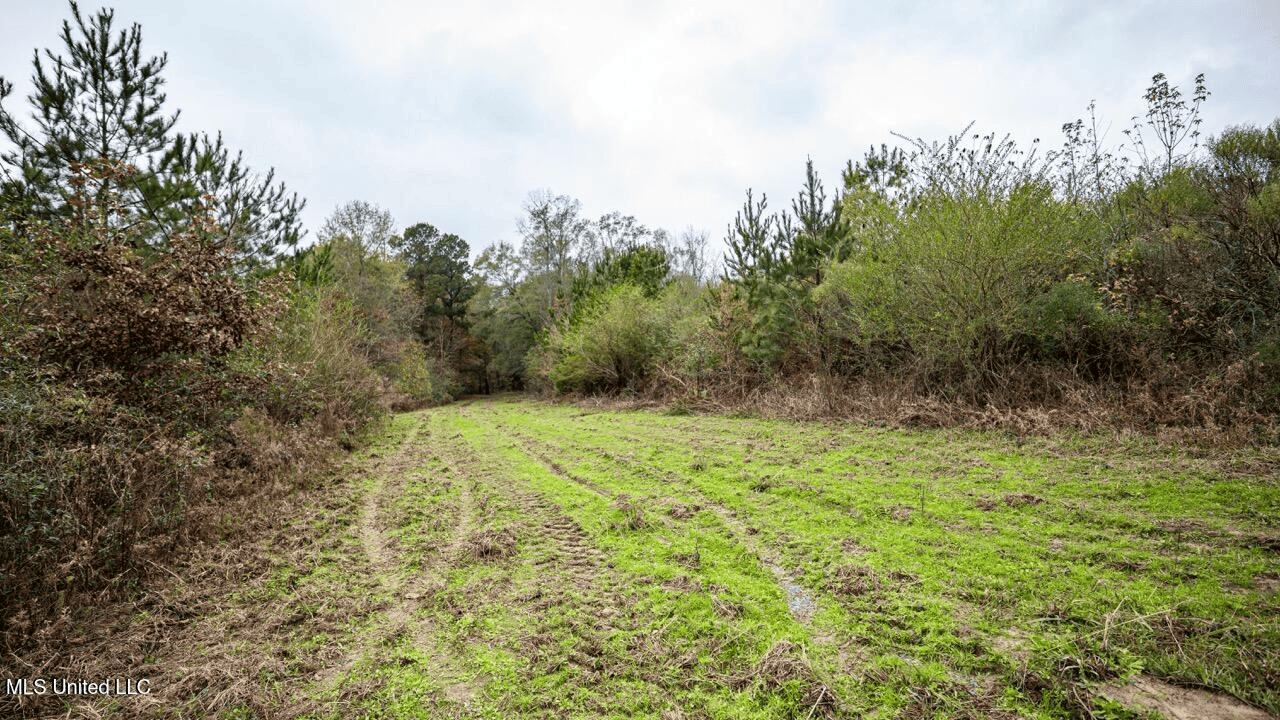 Asilo Farms on Bala Chitto Creek, Southwest Mississippi