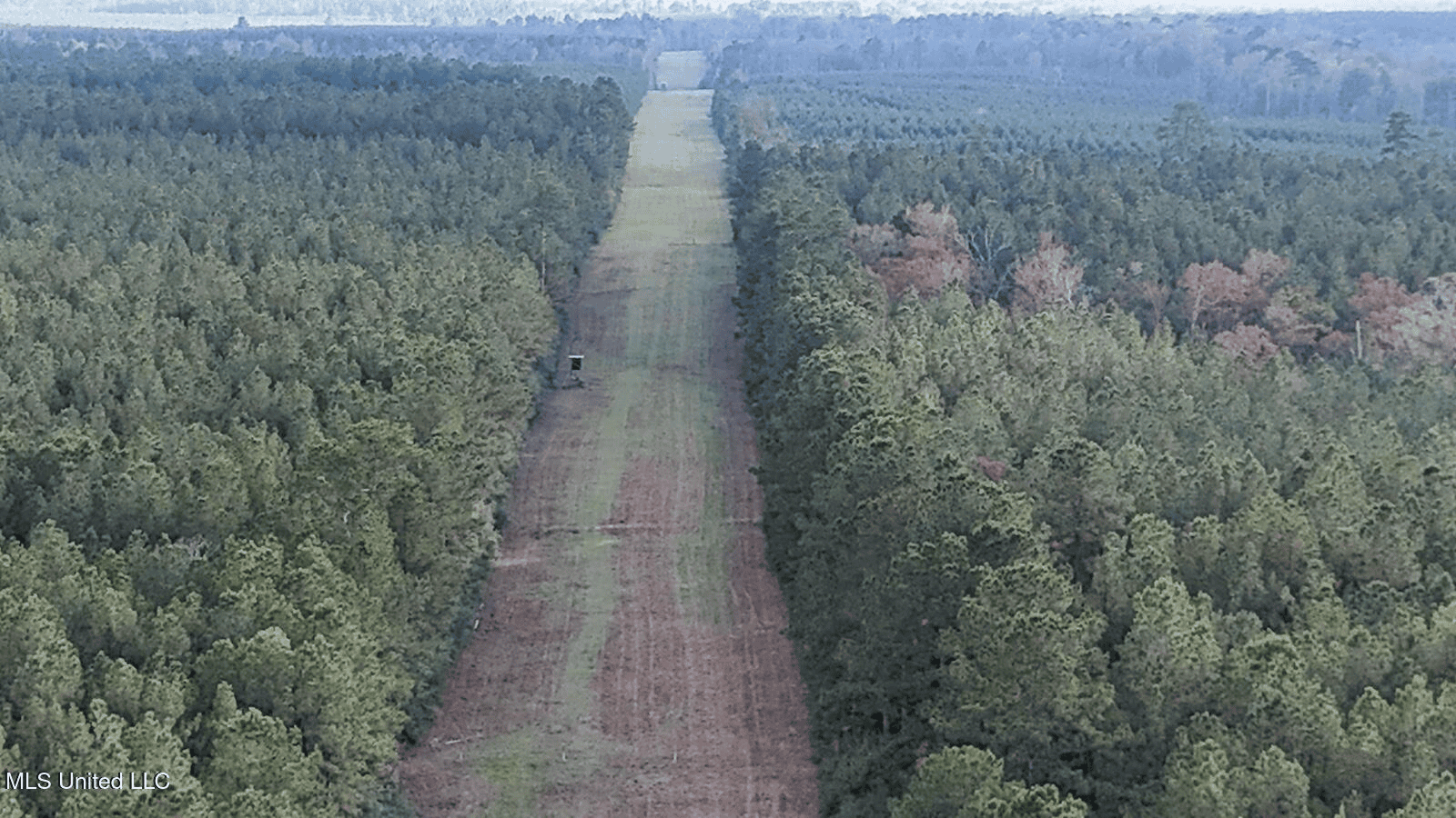 Prime Hunting Property in St Helena Parish, LA