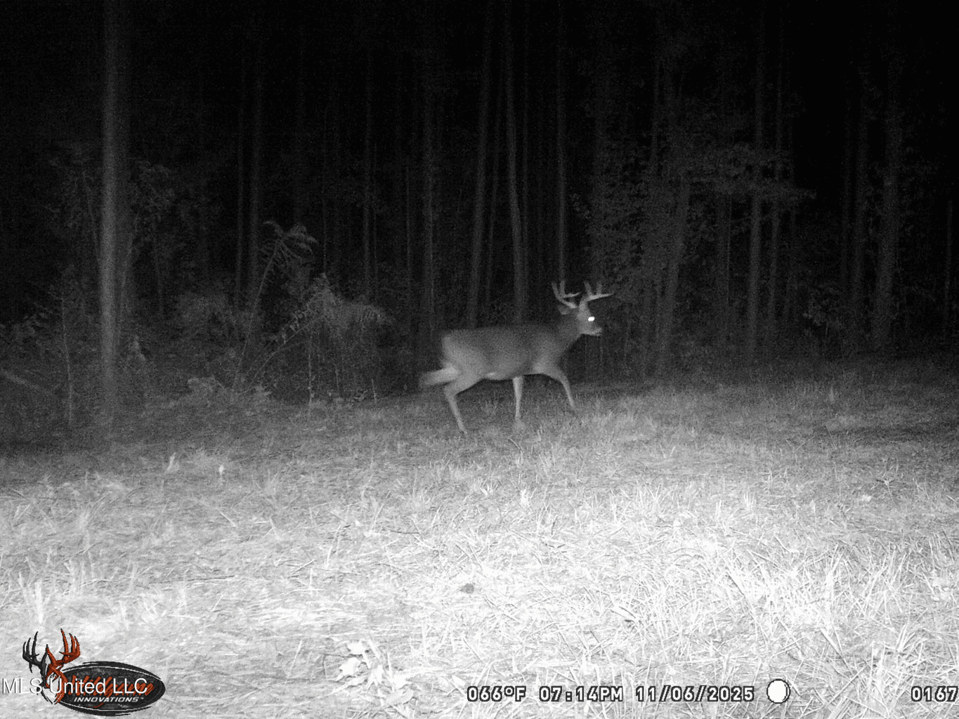 Wilkinson County 60-Acre Turn-Key Solar Hunting Camp