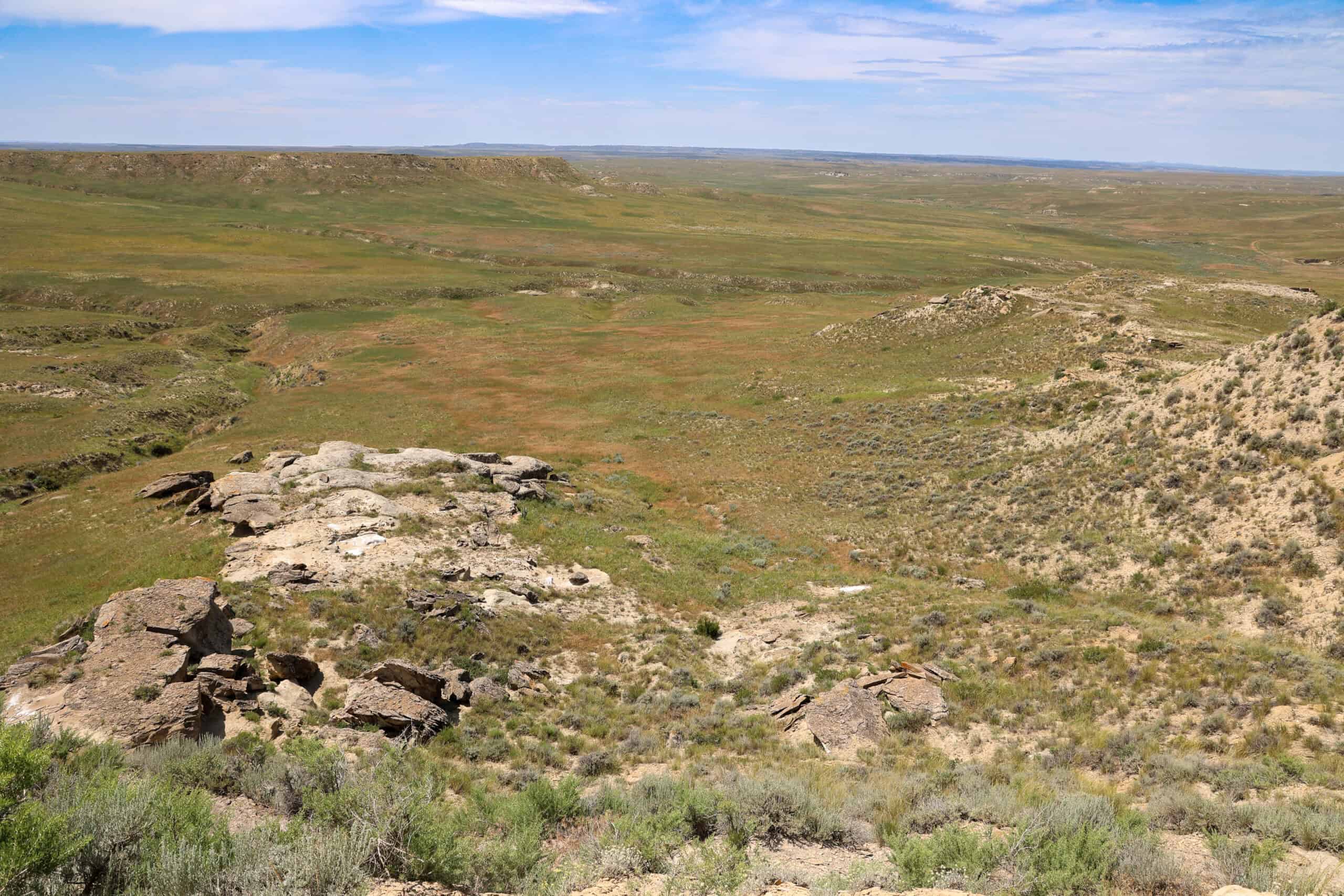 S Bar Ranch – 19,816± Acres North of Custer, Yellowstone County, Montana
