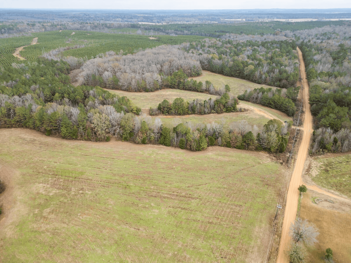 Timberland Farmland For Sale Clay County MS