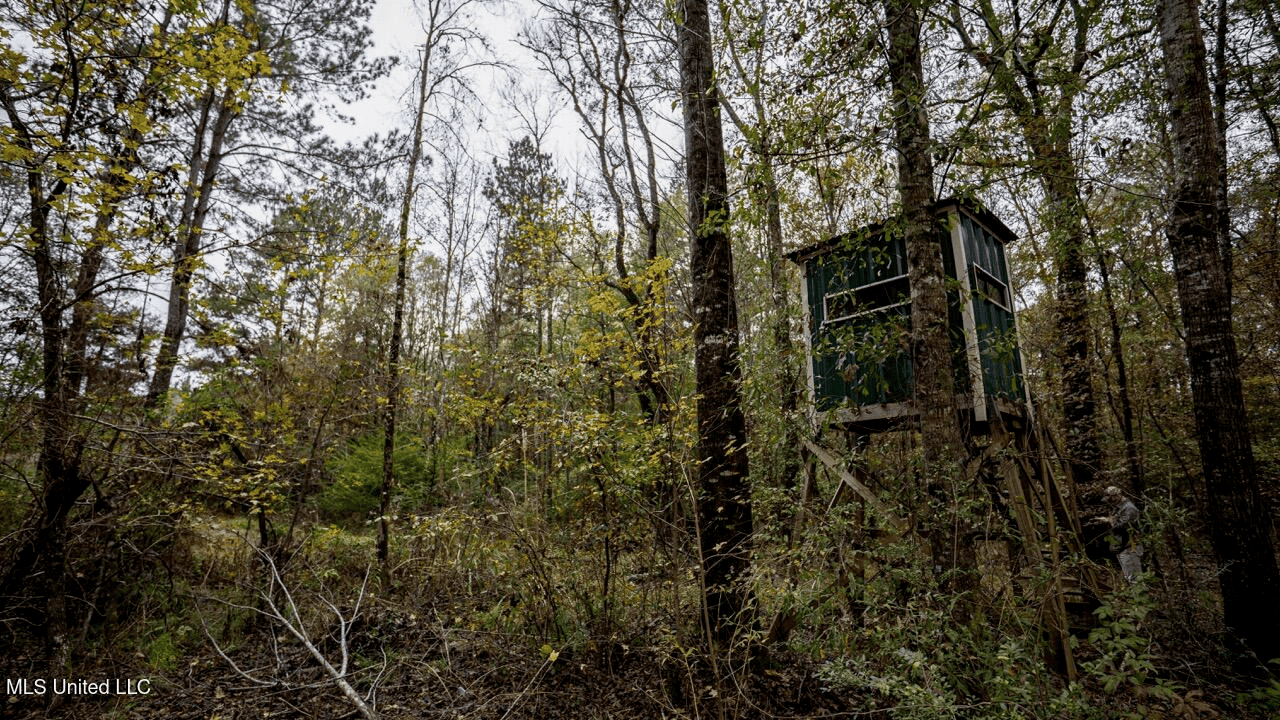 Asilo Farms on Bala Chitto Creek, Southwest Mississippi