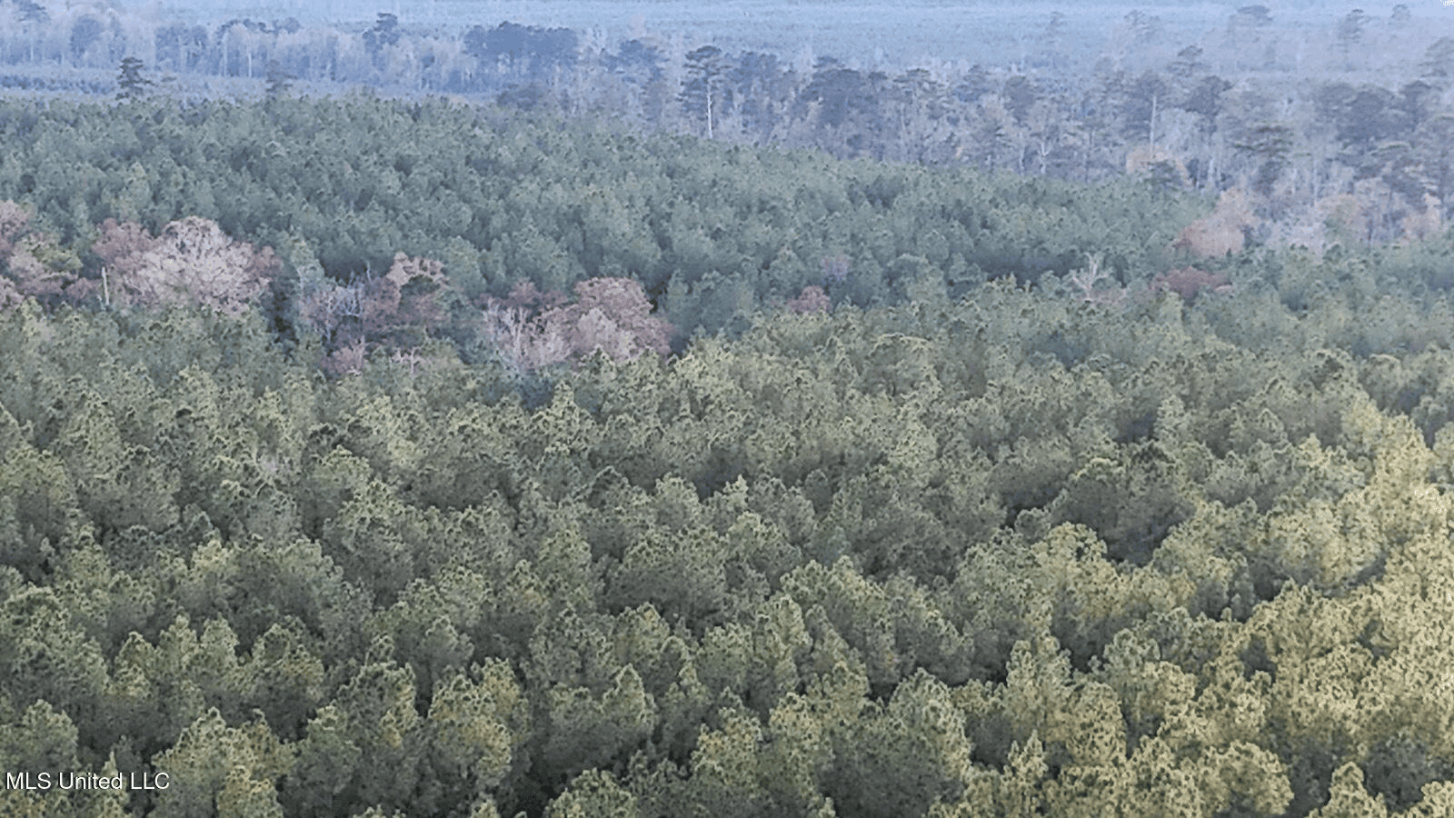 Prime Hunting Property in St Helena Parish, LA