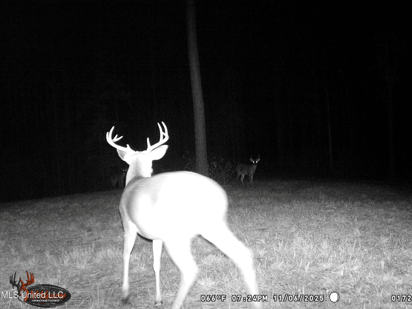 Wilkinson County 60-Acre Turn-Key Solar Hunting Camp