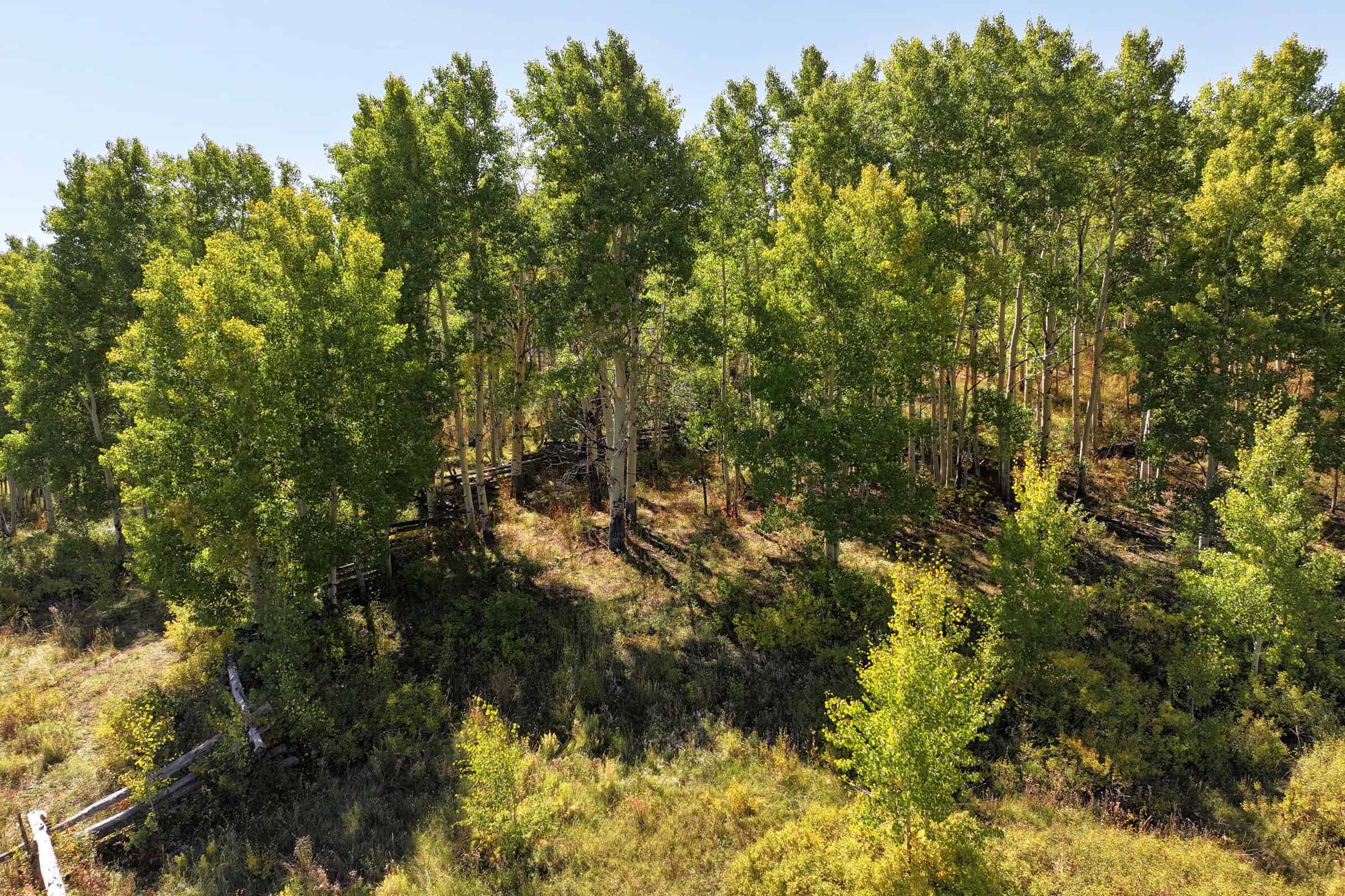 Colorado Hunting Property with Multiple Cabins