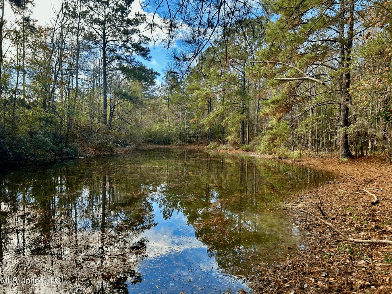 39.7 Acres in Brookhaven MS