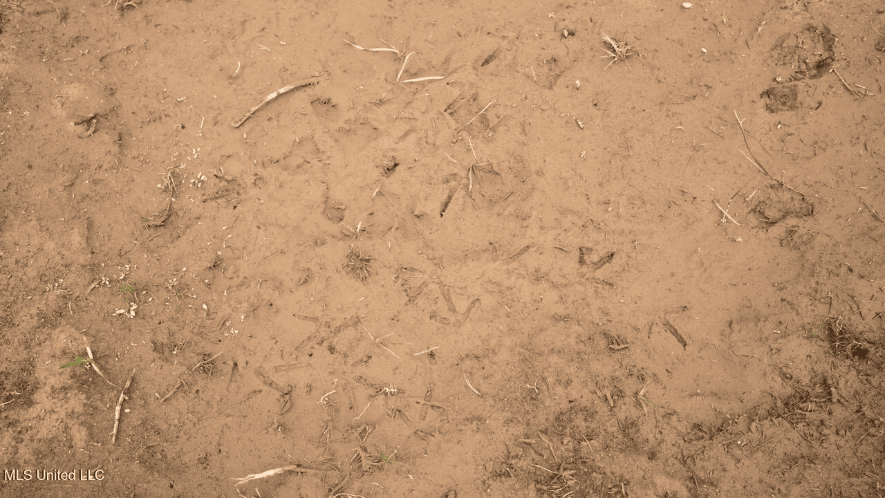 283± Acres for Sale Amite County, Mississippi