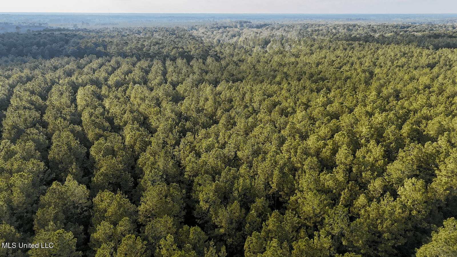 Prime Hunting Property in St Helena Parish, LA