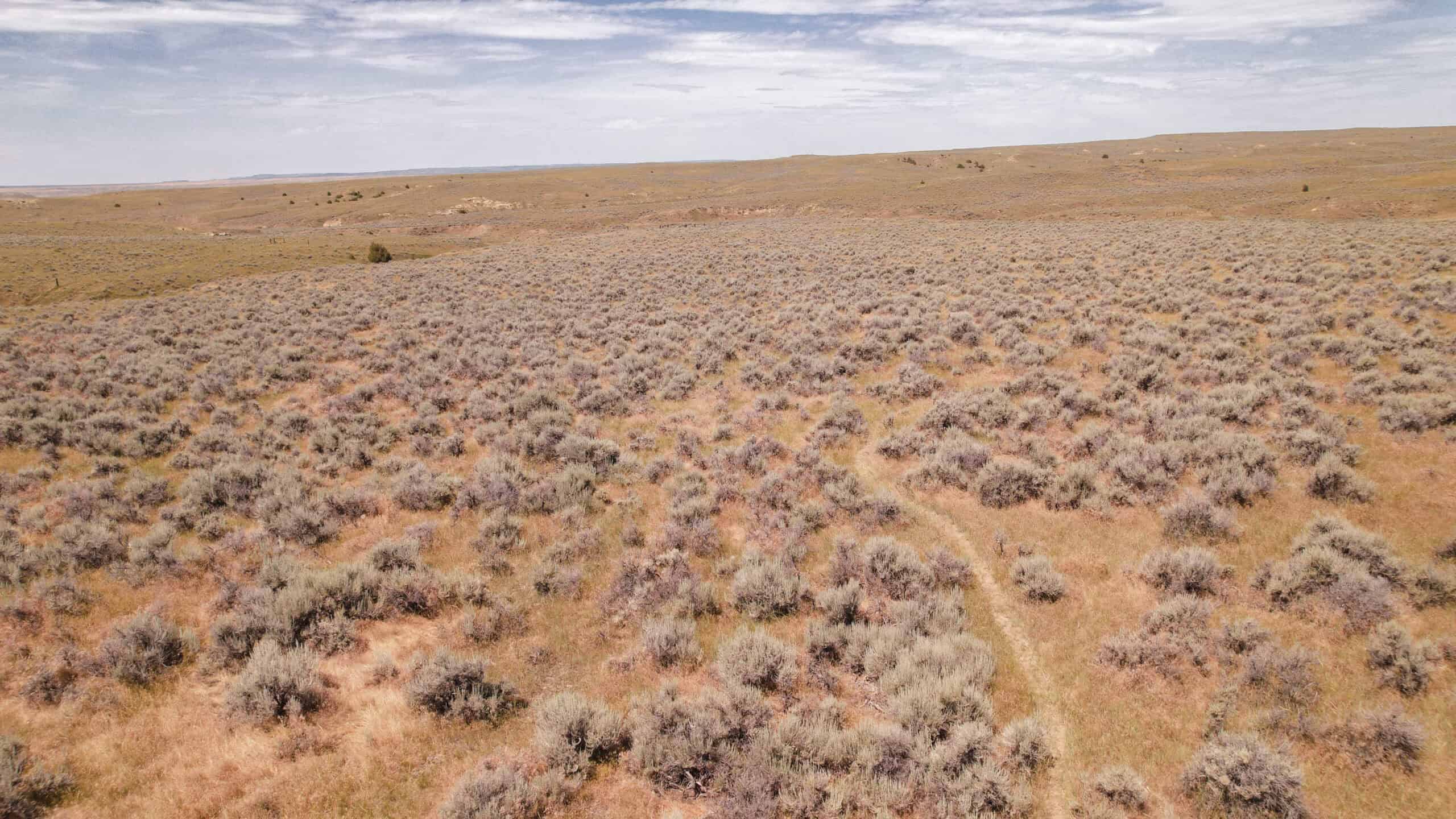 S Bar Ranch – 19,816± Acres North of Custer, Yellowstone County, Montana
