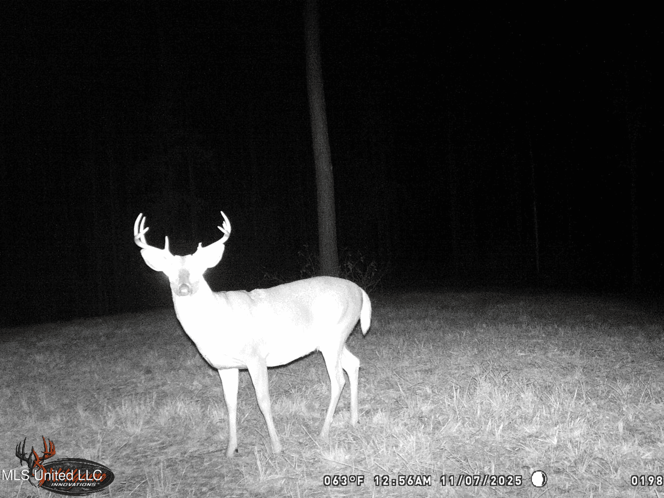 Wilkinson County 60-Acre Turn-Key Solar Hunting Camp