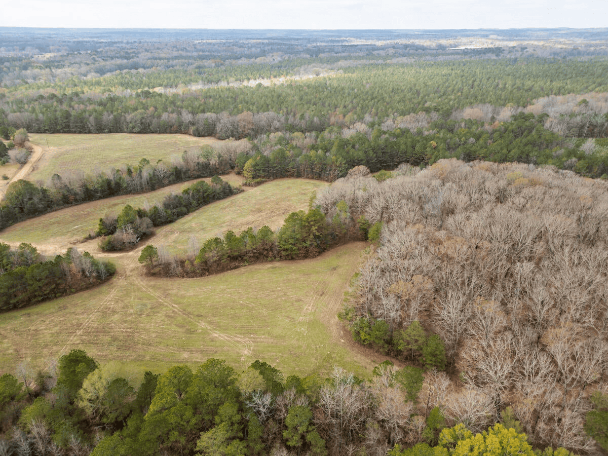 Timberland Farmland For Sale Clay County MS