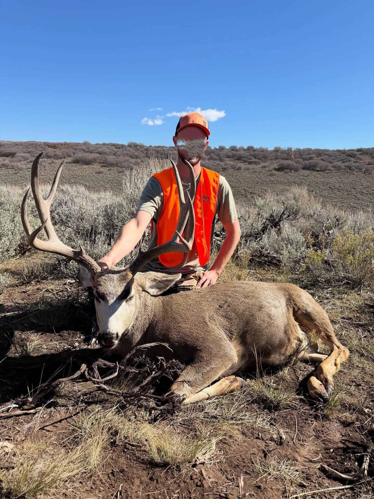 Colorado Hunting Land for Sale