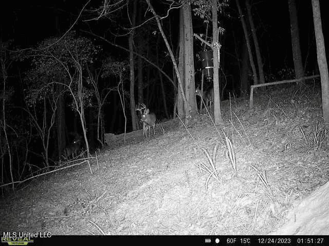 Wilkinson County 60-Acre Turn-Key Solar Hunting Camp