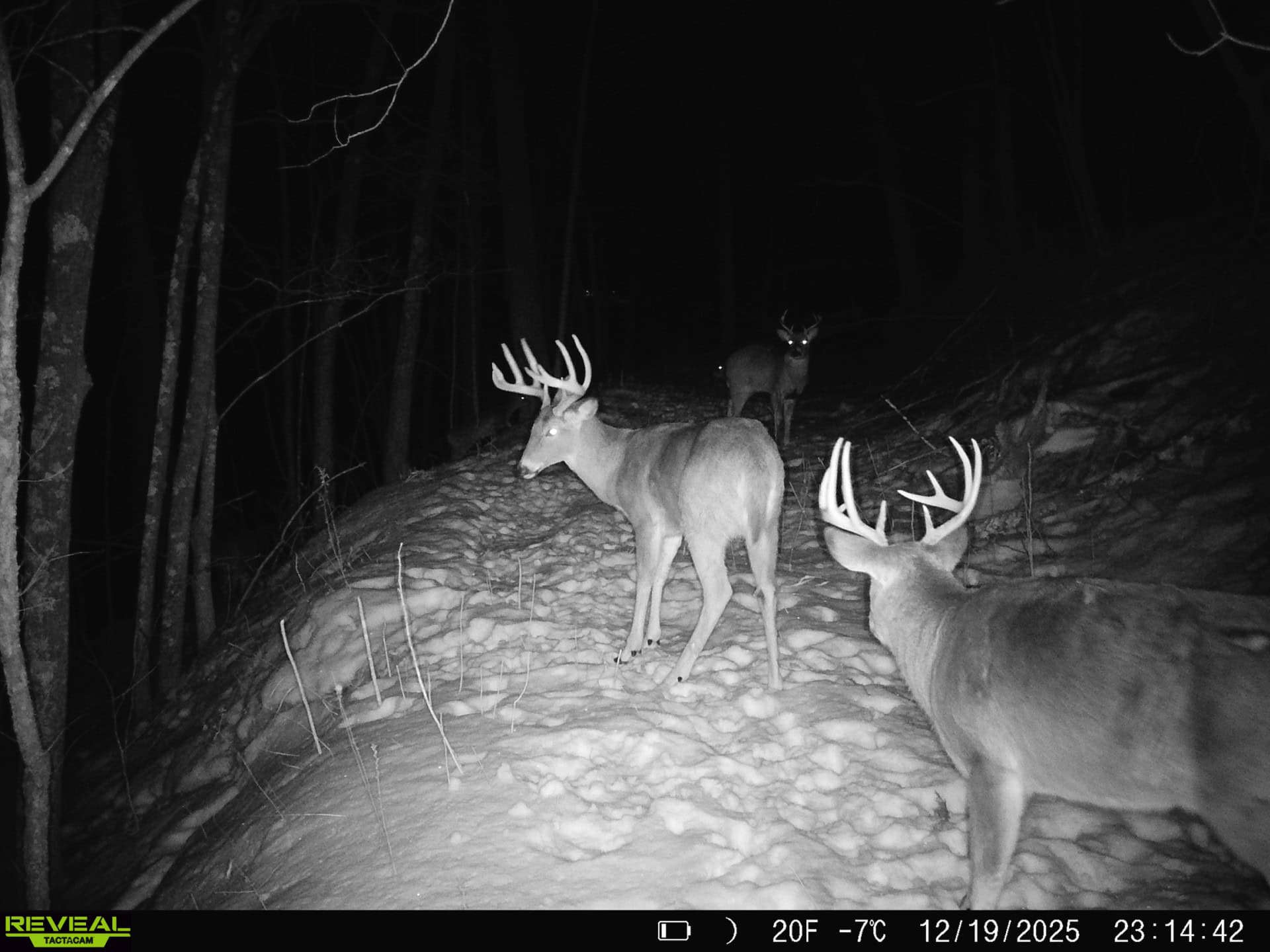 100 +/- Acre Ridge-Top Driftless Retreat in Crawford County WI