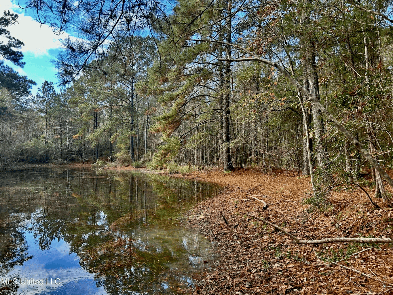 39.7 Acres in Brookhaven MS