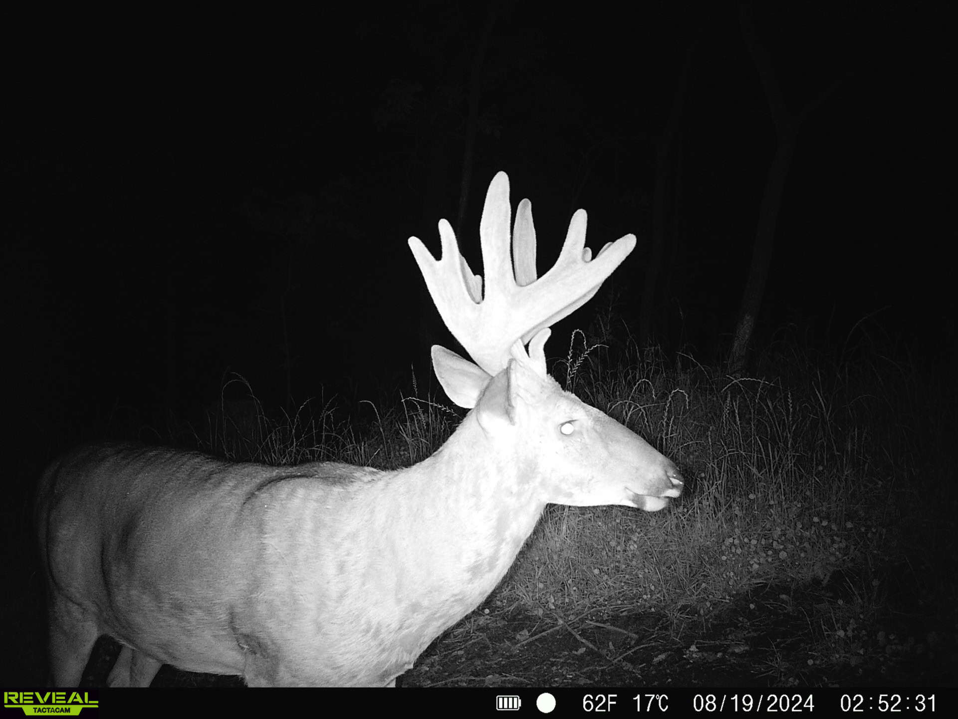 100 +/- Acre Ridge-Top Driftless Retreat in Crawford County WI