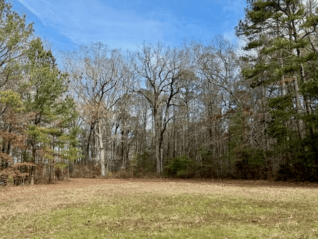 Timberland Farmland For Sale Clay County MS