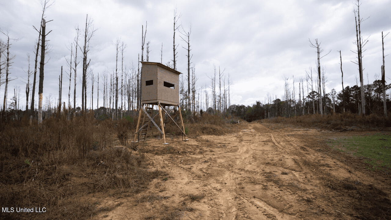 283± Acres for Sale Amite County, Mississippi