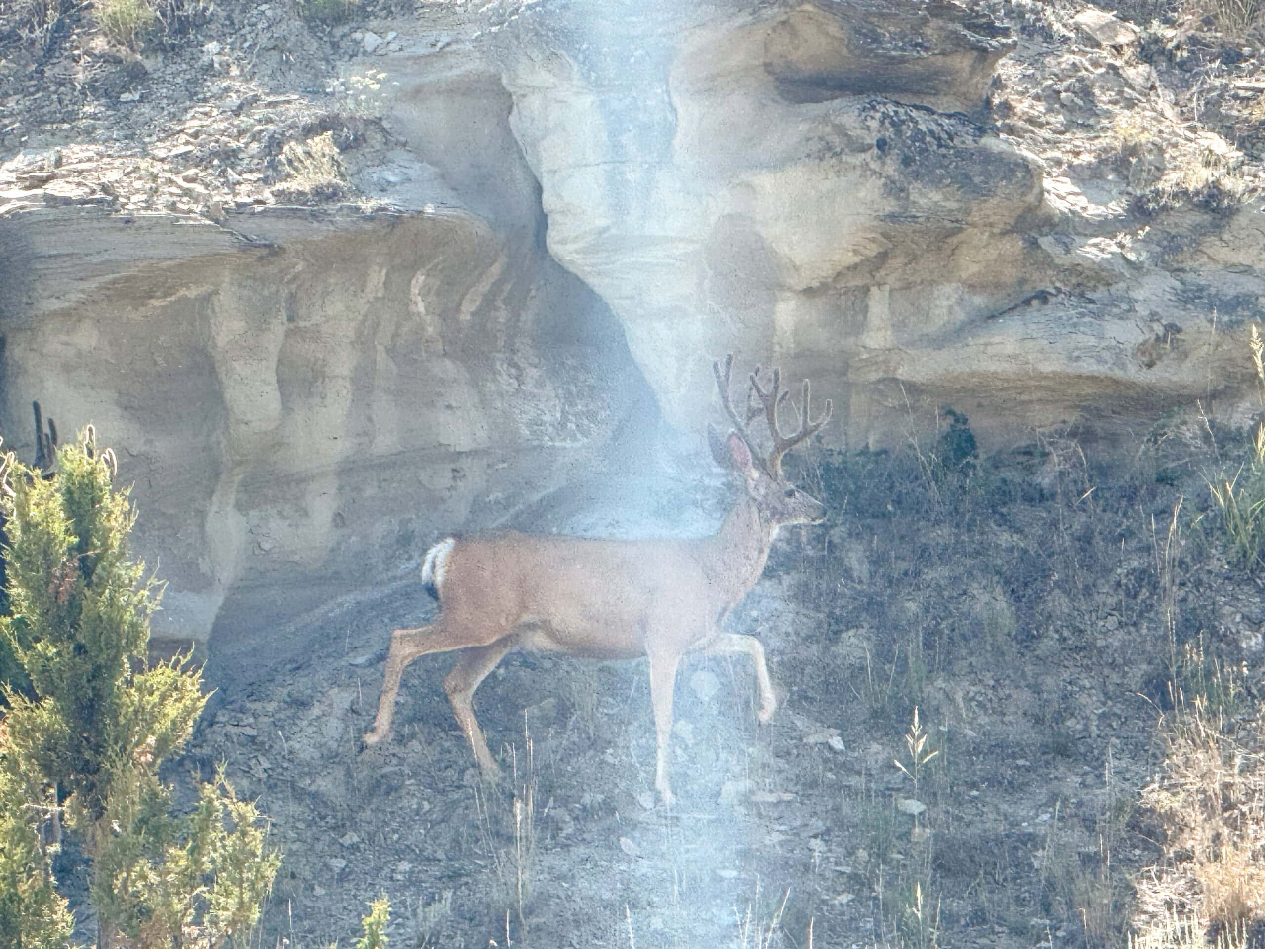 S Bar Ranch – 19,816± Acres North of Custer, Yellowstone County, Montana