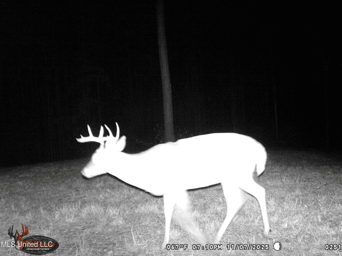 Wilkinson County 60-Acre Turn-Key Solar Hunting Camp