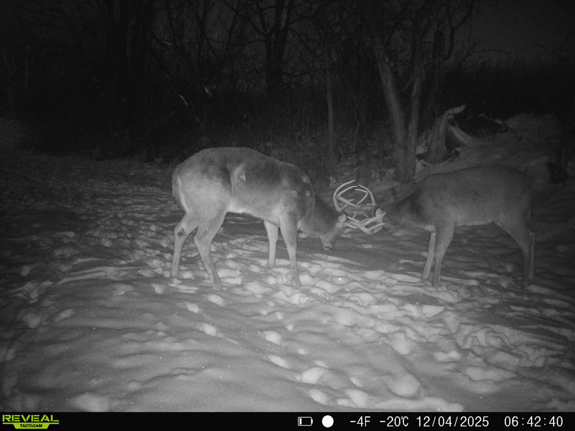 100 +/- Acre Ridge-Top Driftless Retreat in Crawford County WI