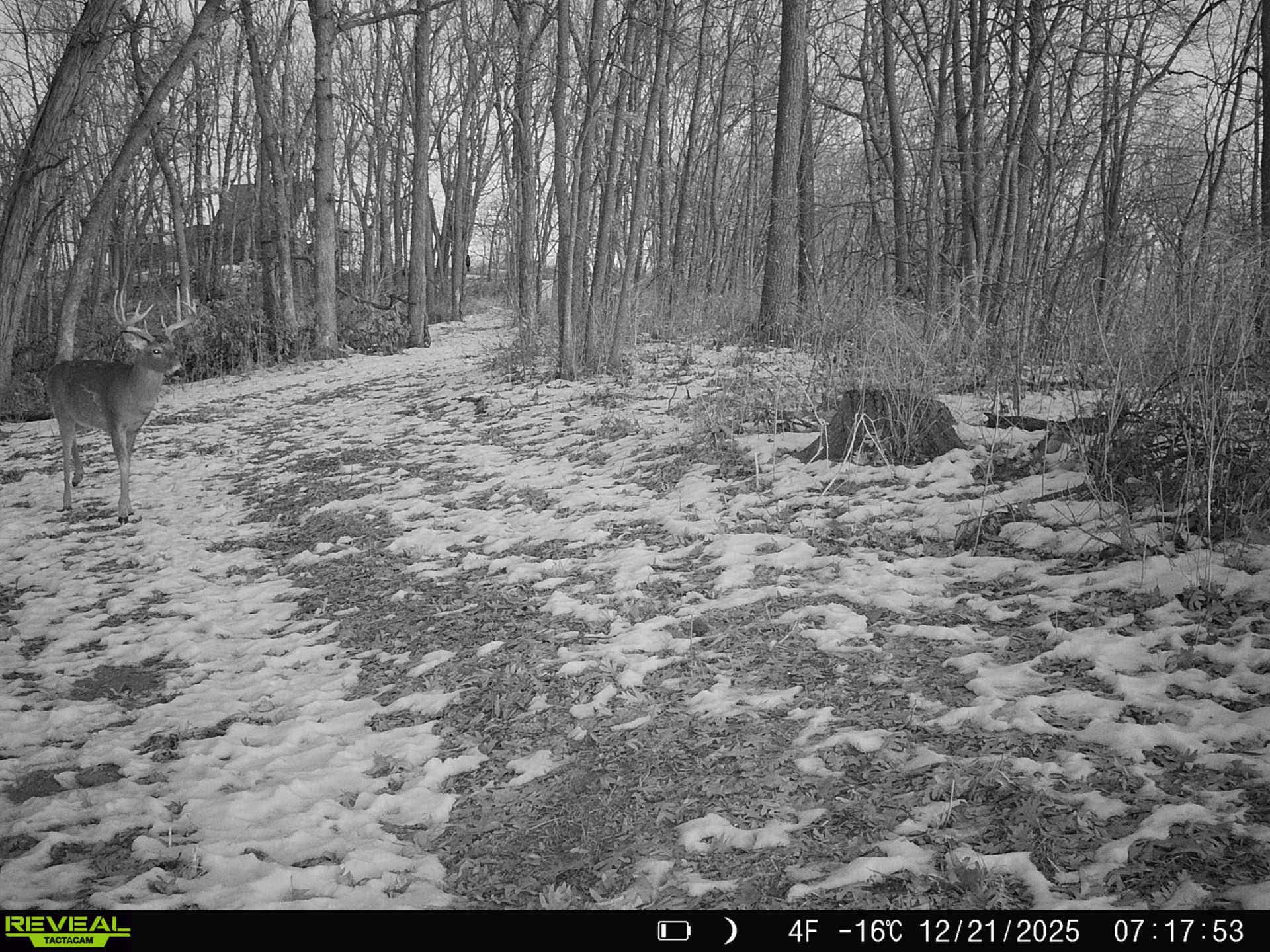 57+/- Acre Retreat in Wisconsin’s Driftless Area, Crawford County