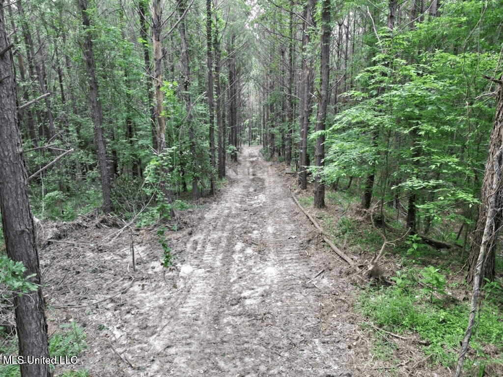 Roxie Mississippi – 94 Acre Recreational Retreat