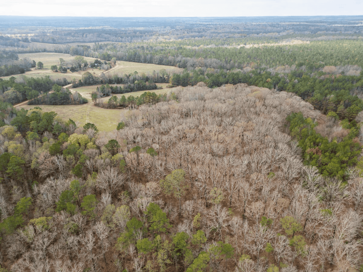 Timberland Farmland For Sale Clay County MS