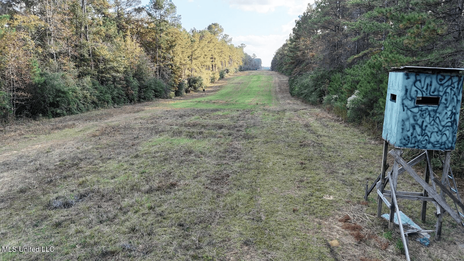 Prime Hunting Property in St Helena Parish, LA