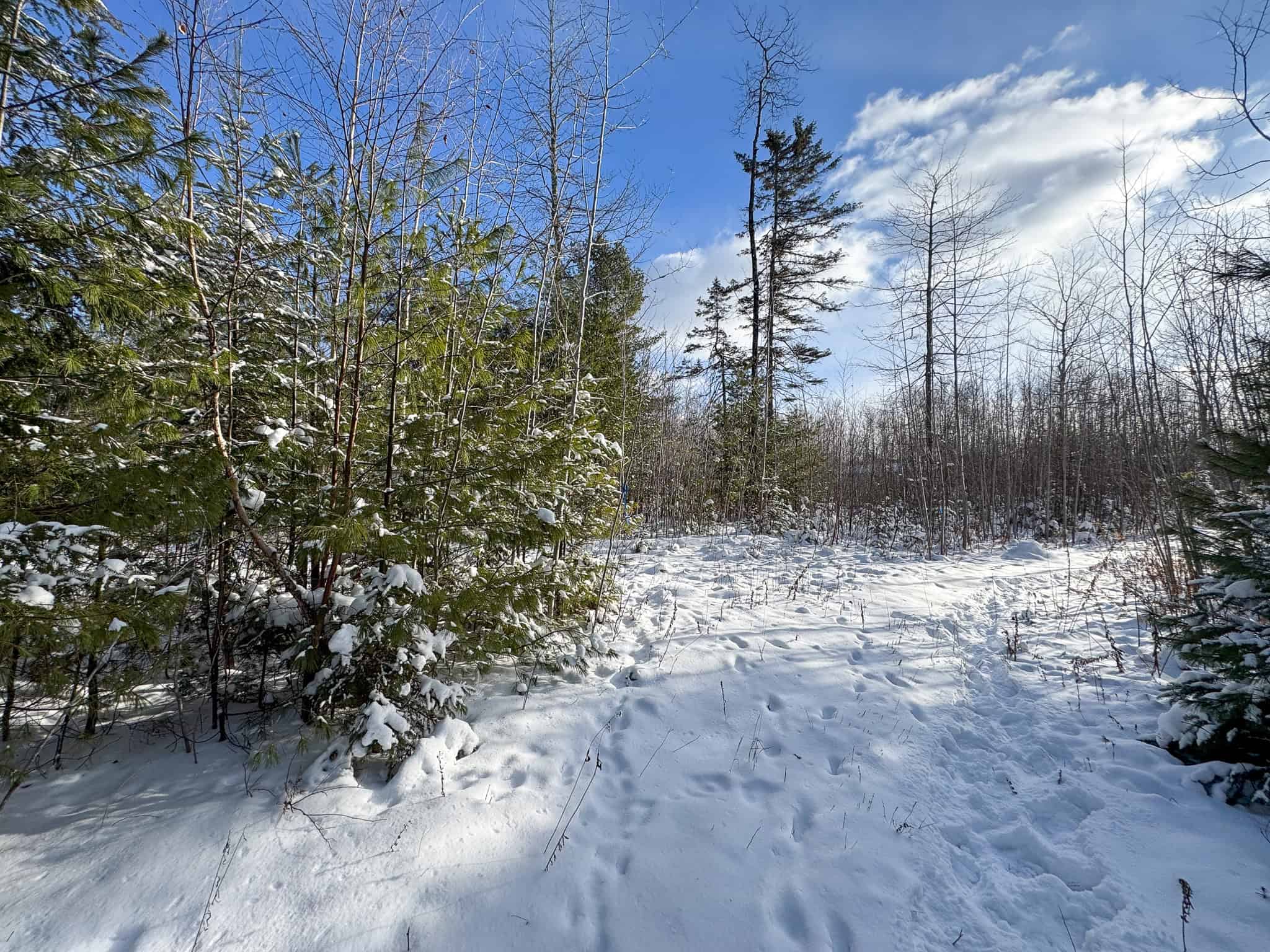 Private Home on 40 Acres – Stacyville, ME