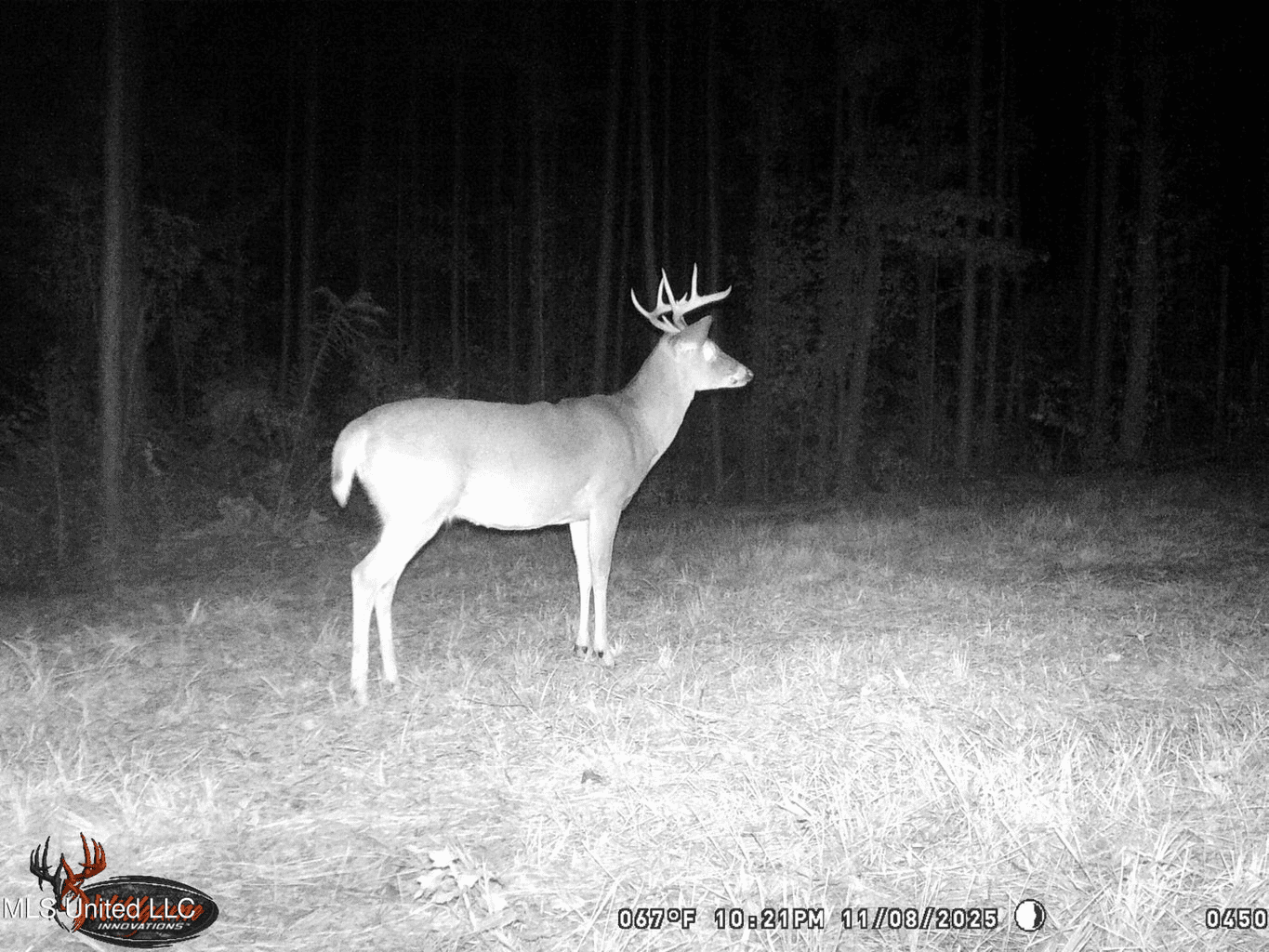 Wilkinson County 60-Acre Turn-Key Solar Hunting Camp